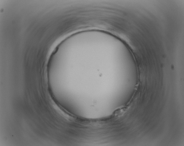 X0000077381516200611101716