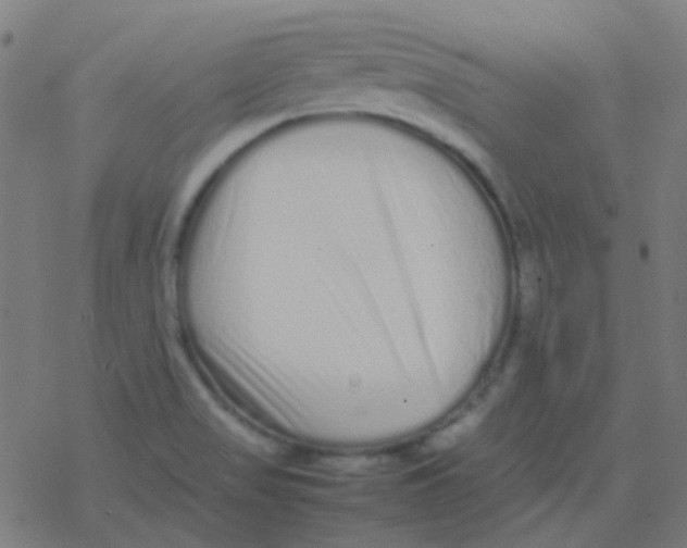 X0000077381517200611101716