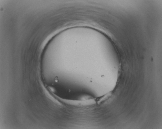 X0000077381518200611101716