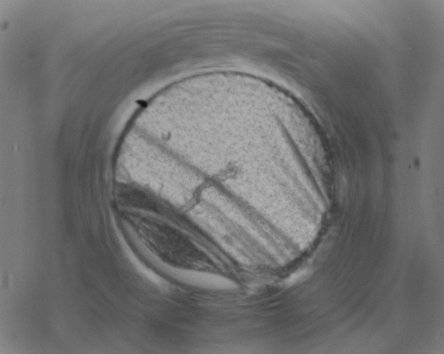 X0000077381519200611101716