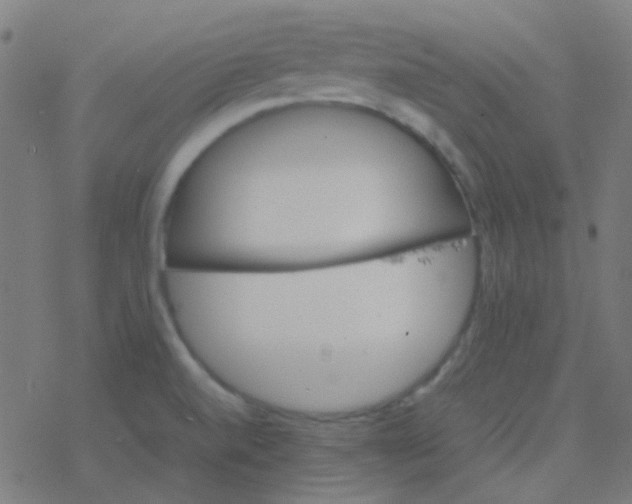 X0000077381520200611101716