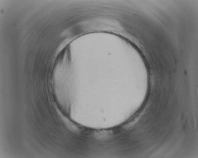 X0000077381521200611101716