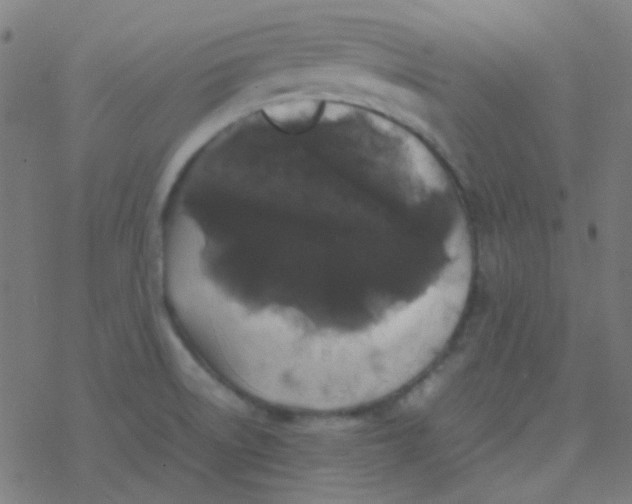 X0000077381522200611101716