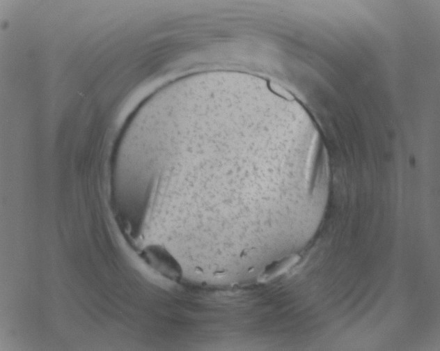 X0000077381523200611101716