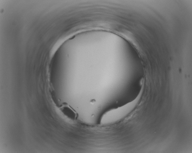 X0000077381524200611101716