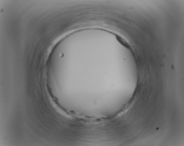 X0000077381526200611101716