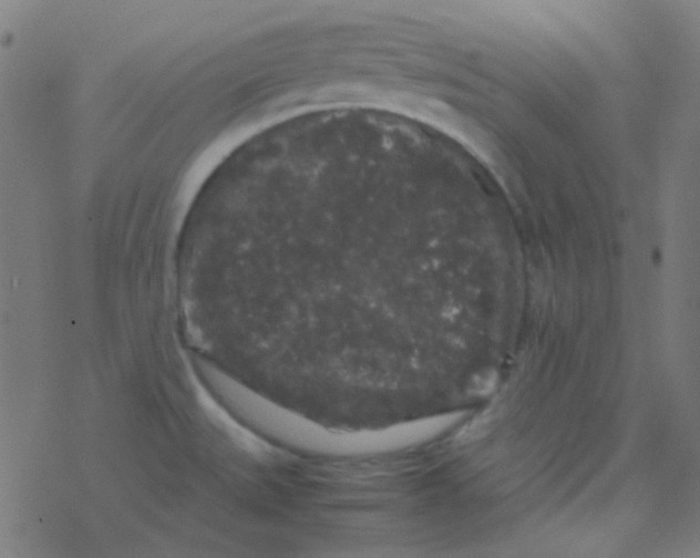 X0000077381527200611101716