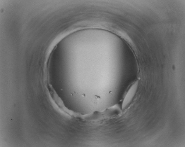 X0000077381528200611101716