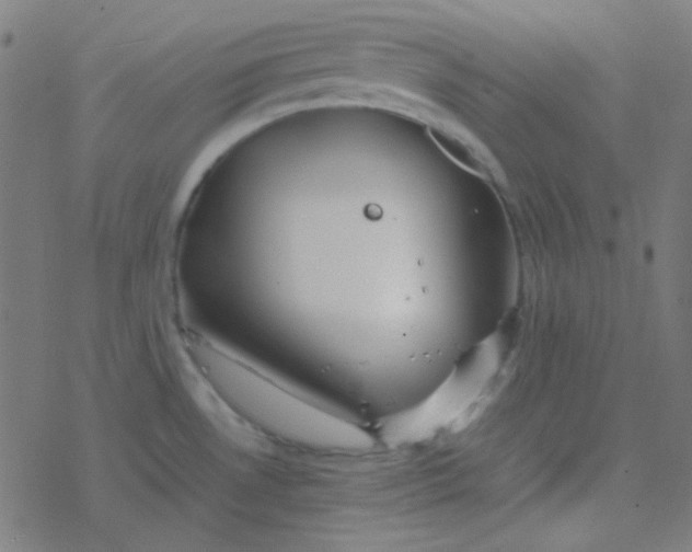 X0000077381530200611101716