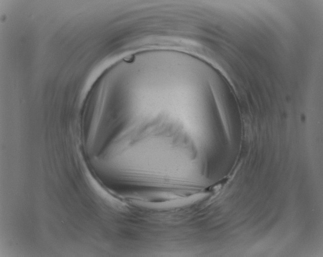 X0000077381531200611101716