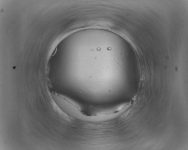 X0000077381532200611101717