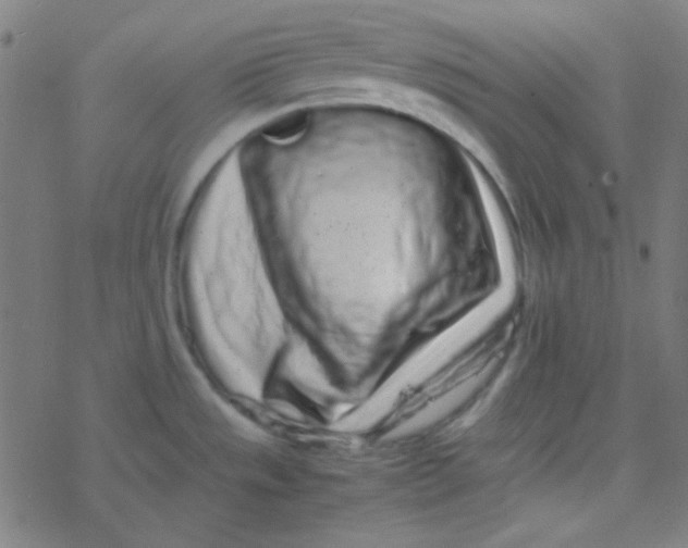 X0000077381533200611101717