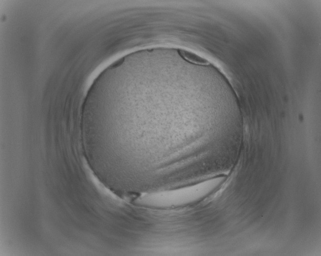 X0000077381534200611101717