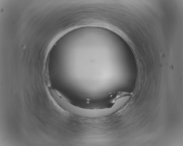 X0000077381536200611101717