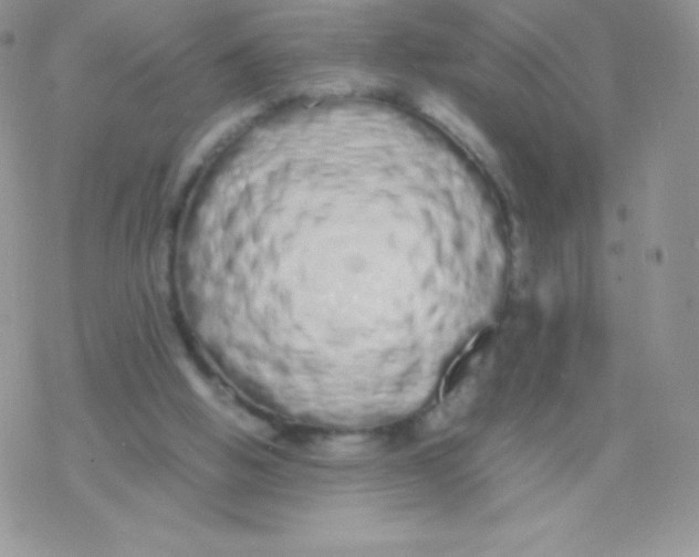 X0000077380058200611172024