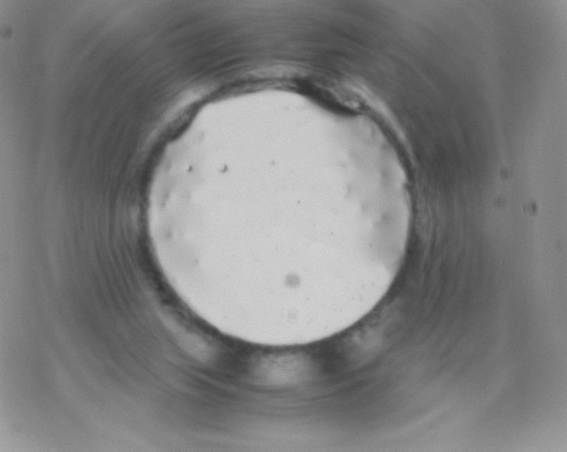 X0000077380063200611172024