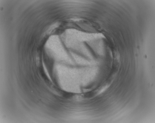 X0000077380080200611172025