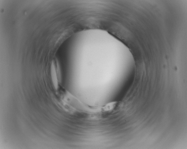 X0000077380088200611172025