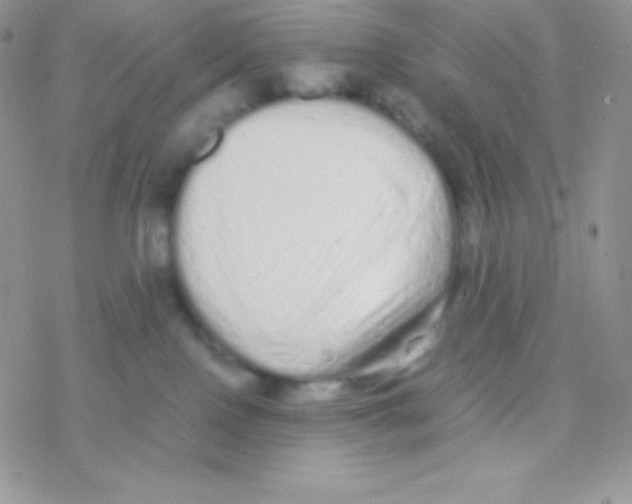X0000077380090200611172025