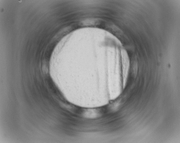 X0000077380091200611172025