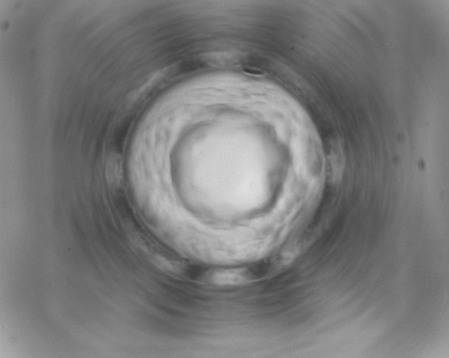 X0000077380093200611172025