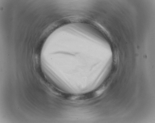 X0000077380117200611172024
