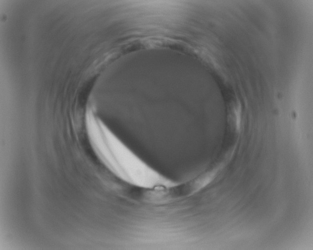 X0000077380139200611172023