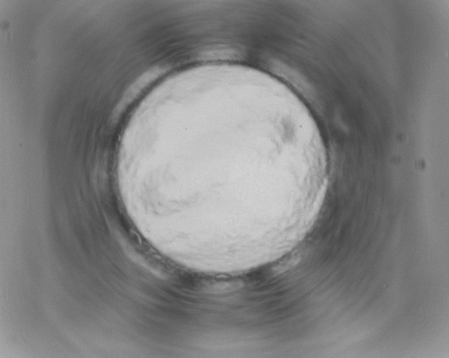 X0000077380155200611172023