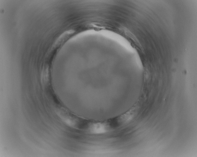 X0000077380163200611172023