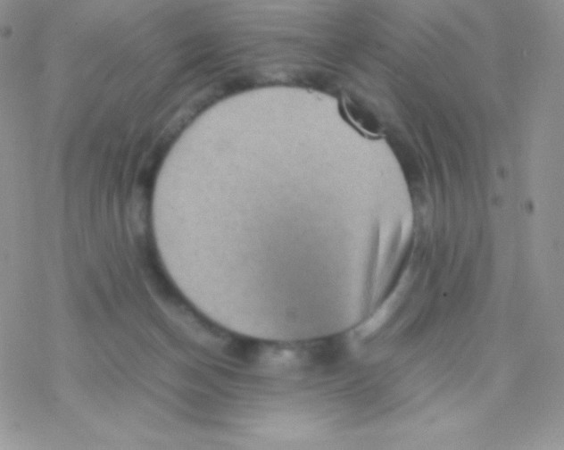 X0000077380174200611172023