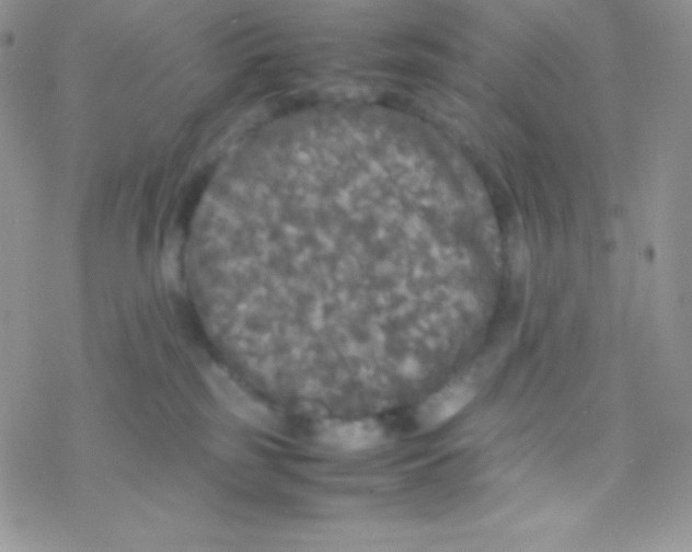 X0000077380185200611172023