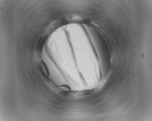 X0000077380186200611172023