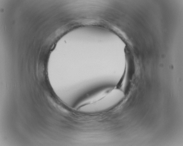 X0000077380201200611172022