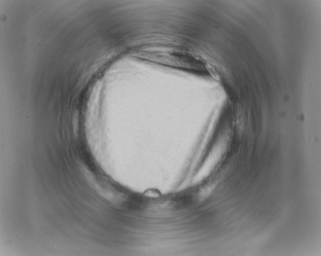 X0000077380206200611172022