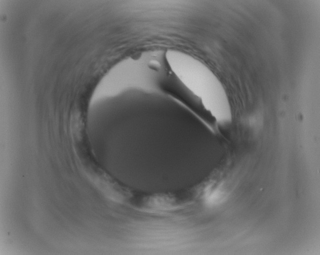 X0000077380223200611172022