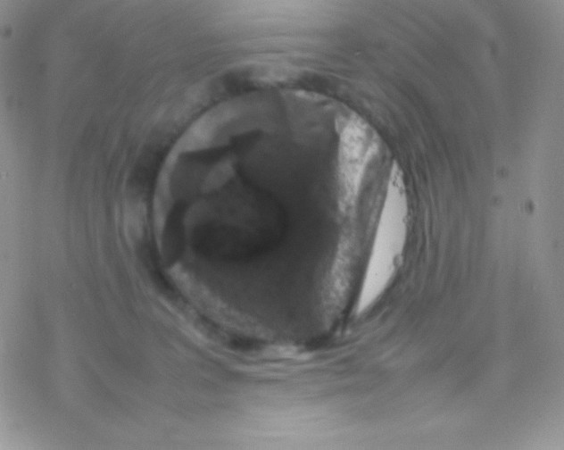 X0000077380227200611172022
