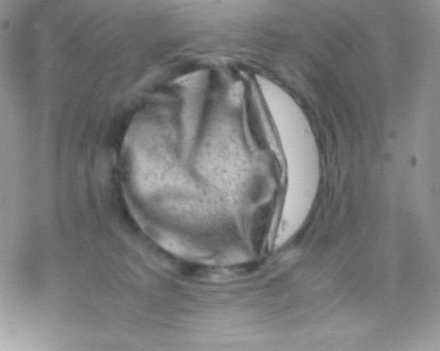 X0000077380229200611172022