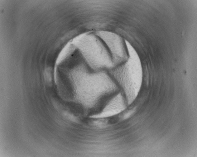 X0000077380232200611172022