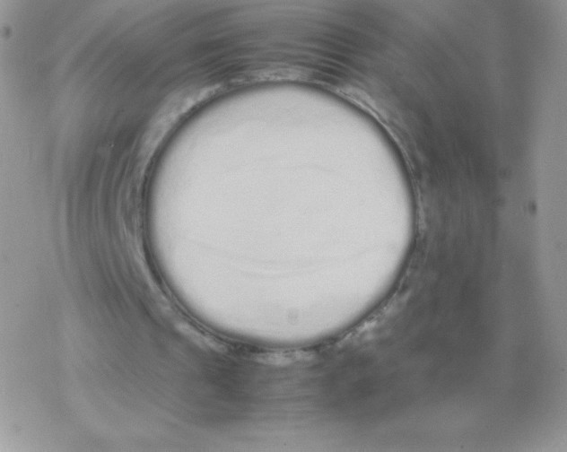 X0000077380241200611172021
