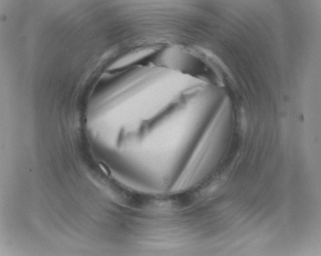 X0000077380260200611172021