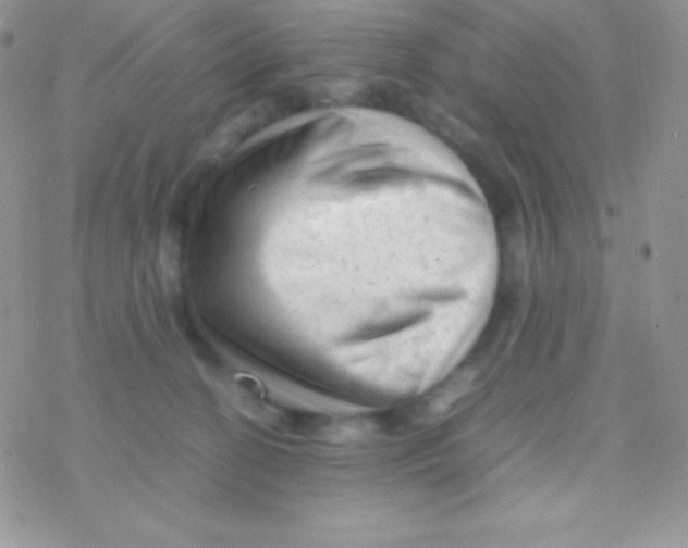 X0000077380274200611172021