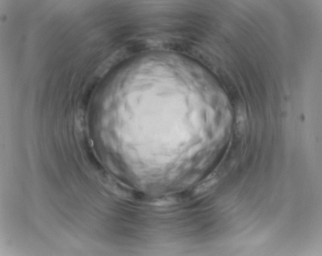 X0000077380275200611172021
