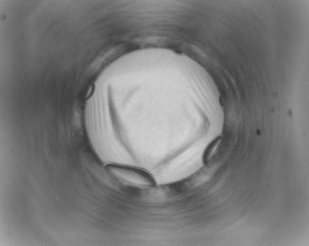 X0000077380282200611172022
