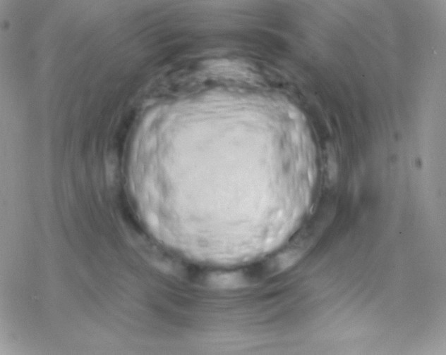 X0000077380283200611172022