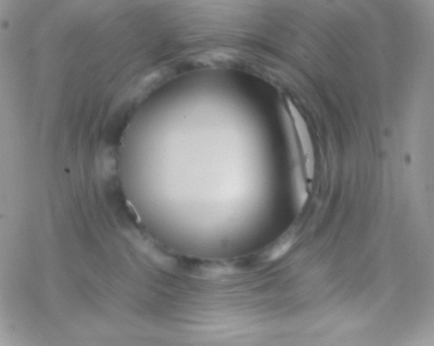 X0000077380284200611172022