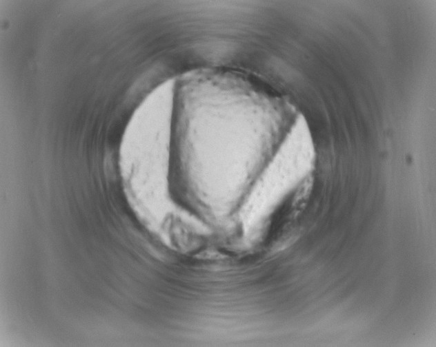 X0000077380286200611172022