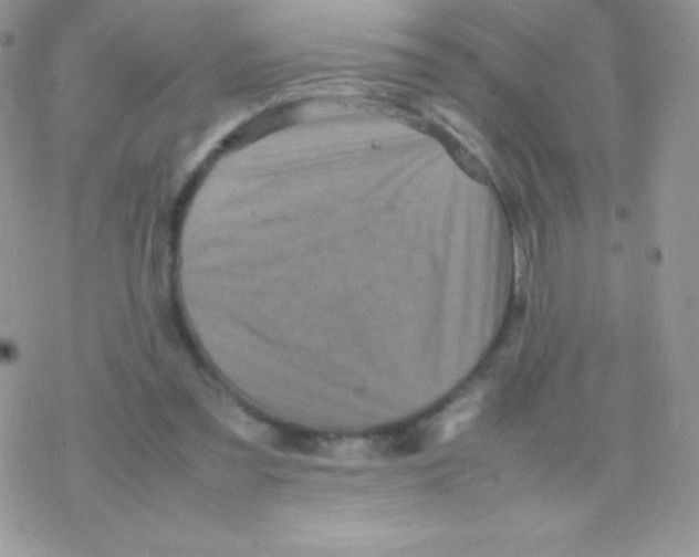 X0000077380301200611172021