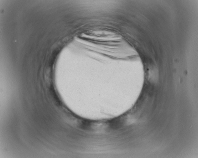 X0000077380319200611172020