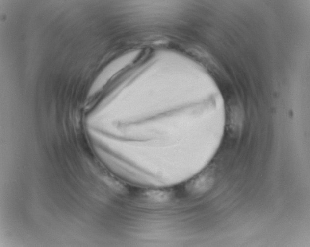 X0000077380326200611172020