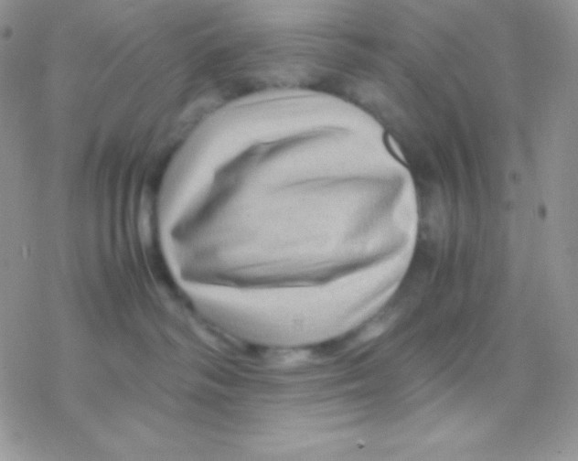 X0000077380334200611172020